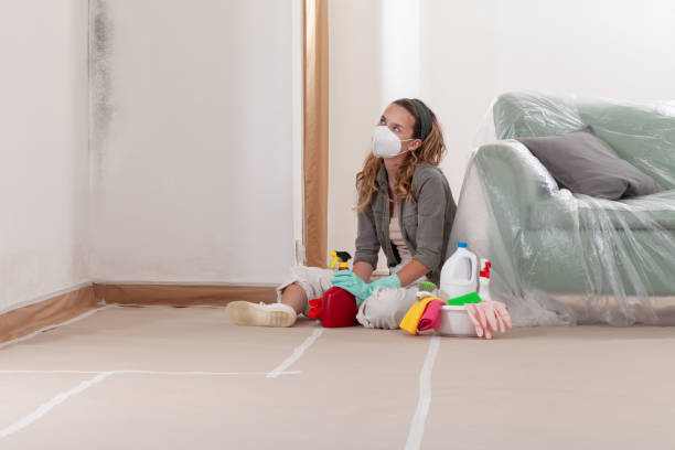 Reliable Basement Mold Remediation contractor in Mercersburg, PA by WQB Mold Removal